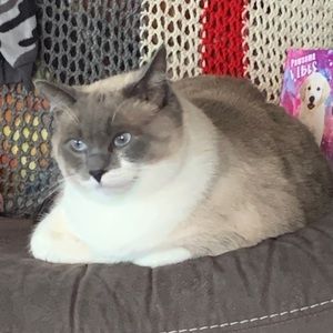 Meet your Posher, Stacey